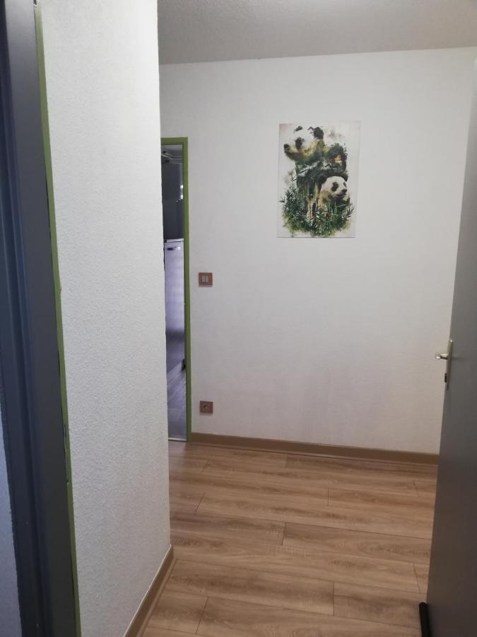 Apartament Grand T3 Avec Clim, Parking Et Terrasse Privative - Agen Zewnętrze zdjęcie