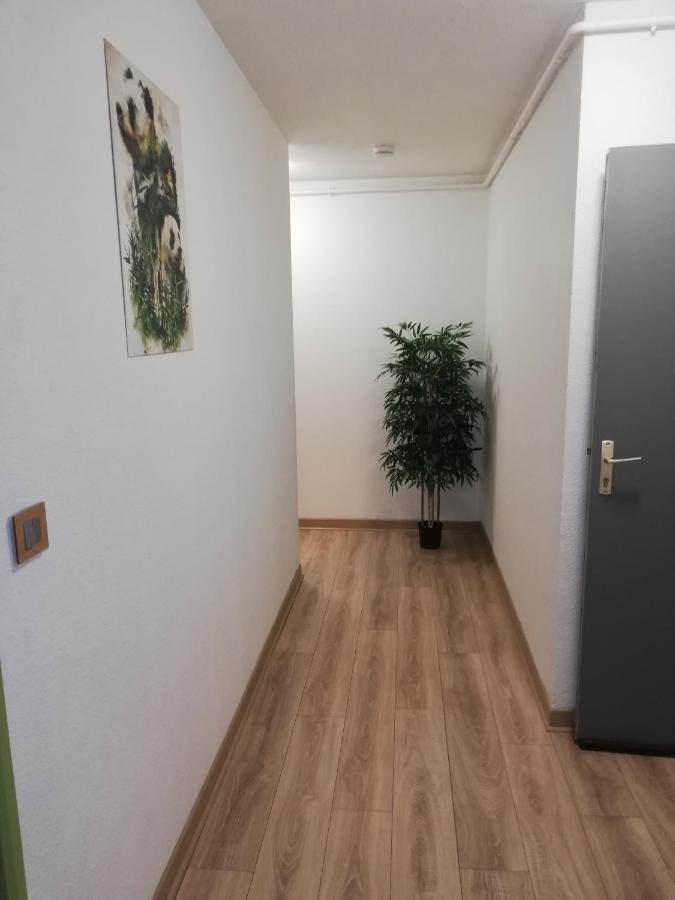 Apartament Grand T3 Avec Clim, Parking Et Terrasse Privative - Agen Zewnętrze zdjęcie